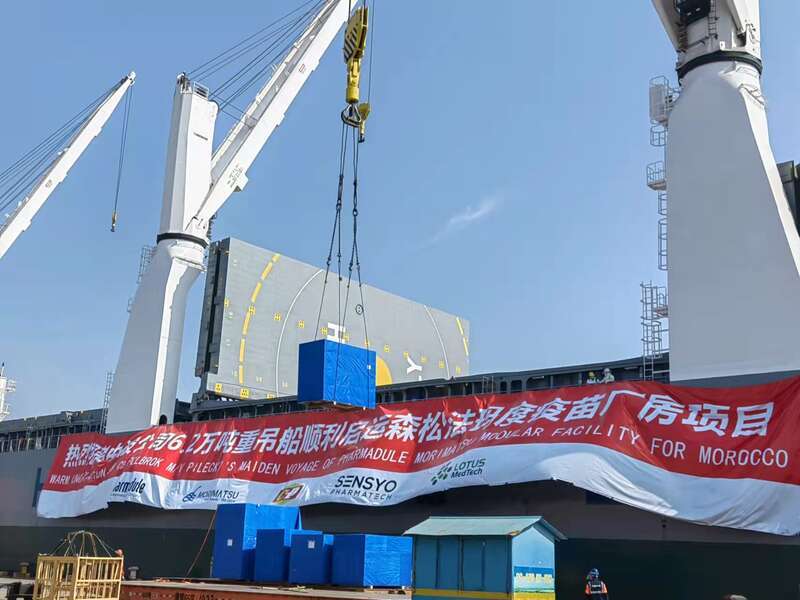 5月以来上海出口原产地签证金额环比增长超5成，货物进出口持续复苏